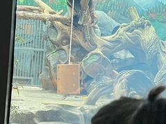 -武汉动物园