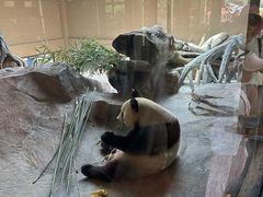 -宁波野生动物园
