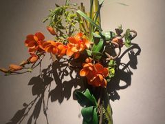 -神户赤童日式烤肉(金地广场店)