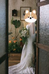-北遇映画PHOTO GRAPHY STUDIO
