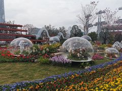-海心沙亚运公园