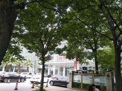 -上海中医药大学附属曙光医院(东部)