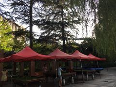 -西安市长乐公园