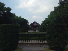 -中山大学学者灵芝(园南路店)