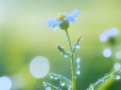 -回龙观体育文化公园