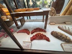 -白天鹅宾馆·美食屋