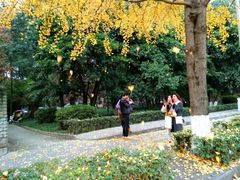 -四川大学(望江校区)