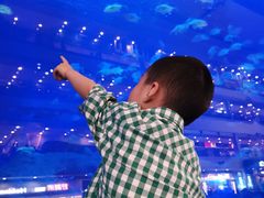 -成都浩海立方海洋公园