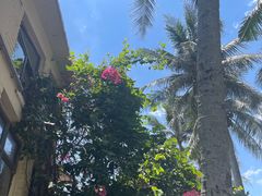 -这片海·海景餐厅(博鳌店)