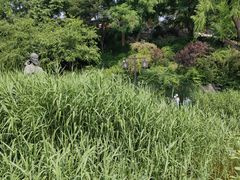 -郭守敬纪念馆