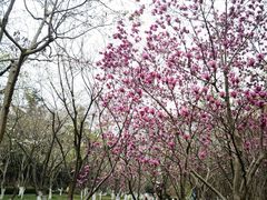 -白塘生态植物园