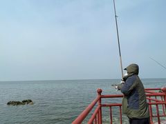 -海岛日记(养马岛店)