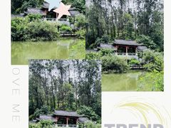 -广州神农草堂中医药博物馆