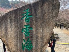 -香雪海