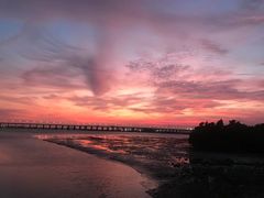 -宝安西湾红树林湿地公园