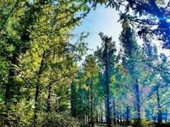 -国家植物园南园