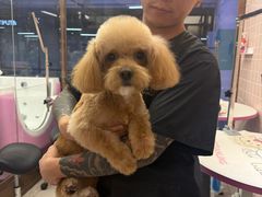 -FAELING PETS美天灵宠物(富力广场店)