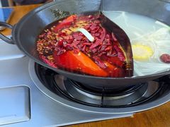 -阳阳老火锅(小南门店)