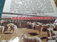 -名羊天下陕北横山铁锅炖羊肉(博文路店)