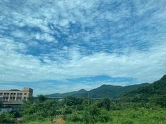 -四明山国家森林公园