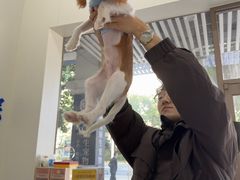 -宠颐生猫科·内科皮肤科(西平世纪城店)