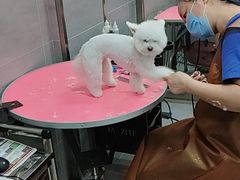 -宠福鑫康馨动物医院·骨科·眼科