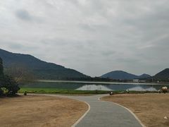 -风云岭森林公园