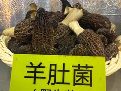 -菌海森林·非遗野生菌火锅(西山区滇池路摩根道店)