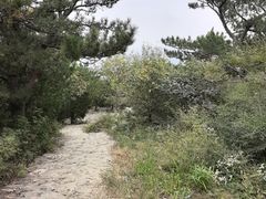 -北京鹫峰国家森林公园