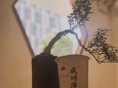 -成川茶店·潮汕工夫浓茶(万象店)