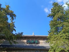 -灵谷景区