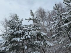 -鳌山滑雪度假区