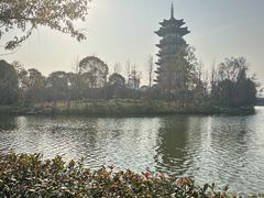 -洋湖国家湿地公园