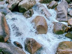 -海南热带雨林国家公园吊罗山景区