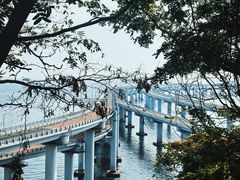 -星海湾跨海大桥