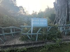 -麻城大别山桐枧冲瀑布群风景区