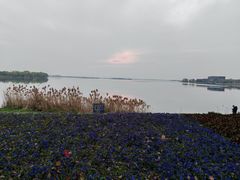-漕湖湿地公园