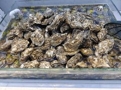 -集品鲜湾·蒸汽海鲜自助料理(青岛银座和谐广场店)
