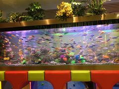 -御池园(顾村公园店)