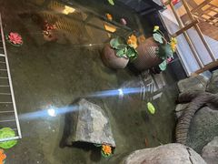 -即墨印象
