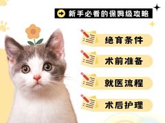 -北京观赏动物医院·24小时大型综合·猫专科·异宠专科