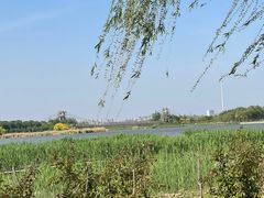 -西青郊野公园
