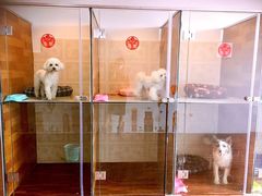 -奶牛家宠物酒店(嘉宏云顶店)