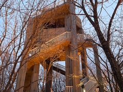 -帽儿山国家森林公园