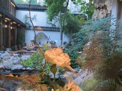 -鲤院·新中式美学·庭院餐厅(夫子庙店)