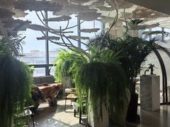-哈尔滨圣安口腔专科医院