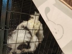 -永辉超市(龙潭寺店)