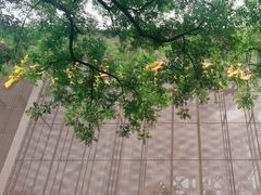 -红旗渠纪念馆