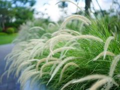 -叠溪松坪沟景区