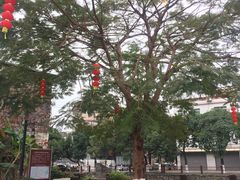 -伦教678文化街